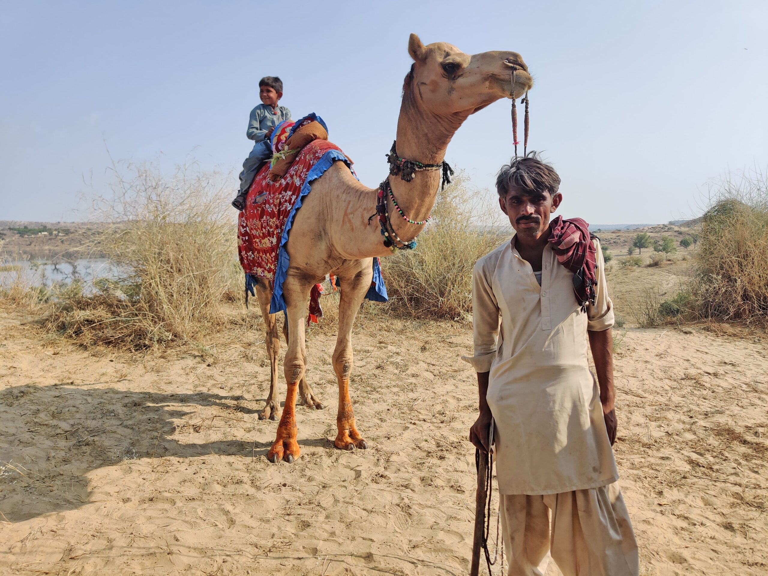 Putting a price on Thar’s lost livelihoods